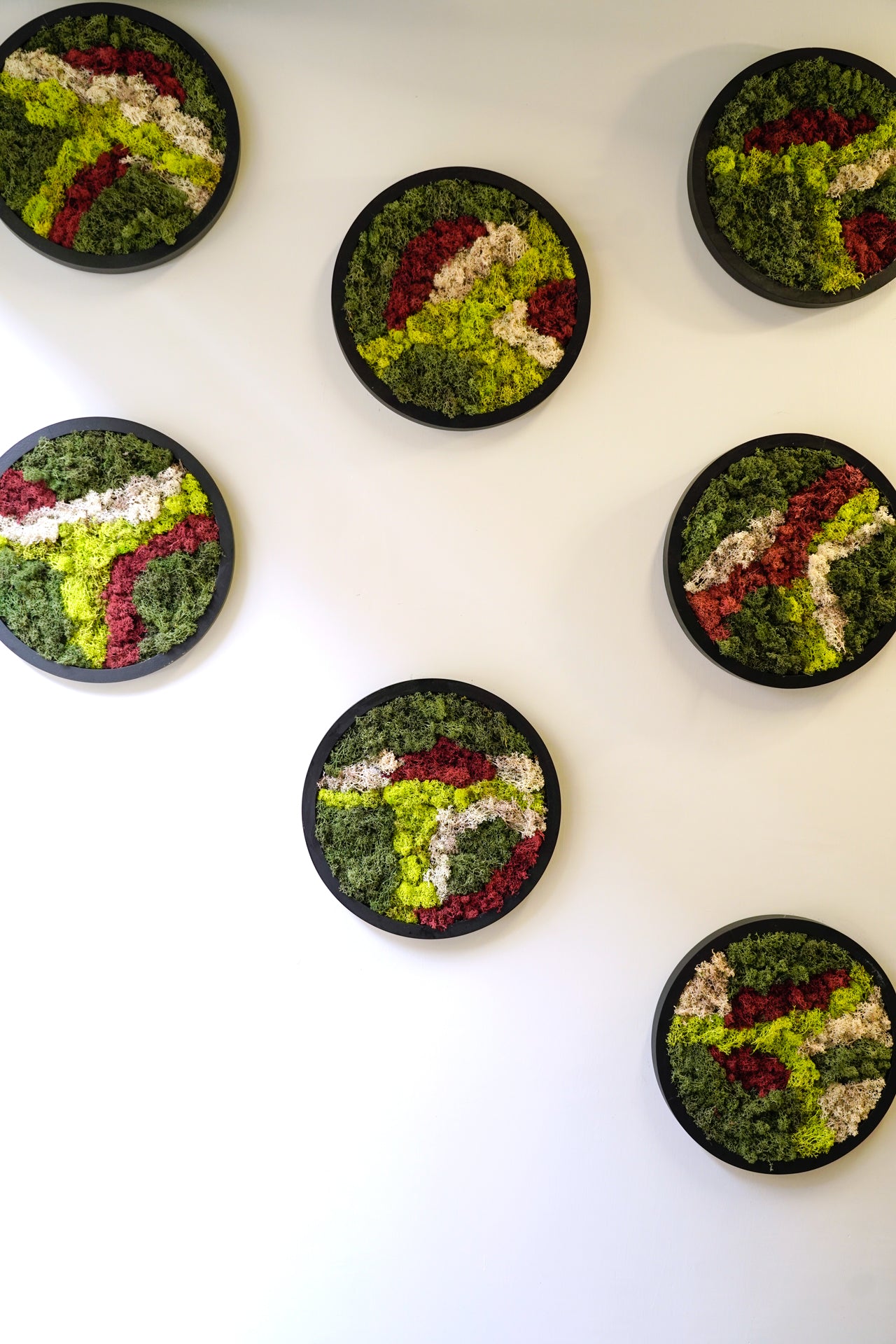 Quadro Moss Red Small Tondo