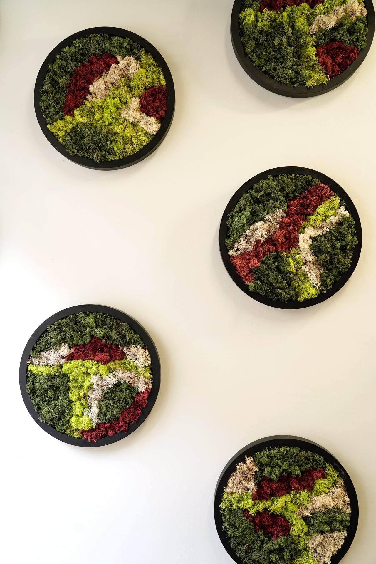 Quadro Moss Blue Tondo