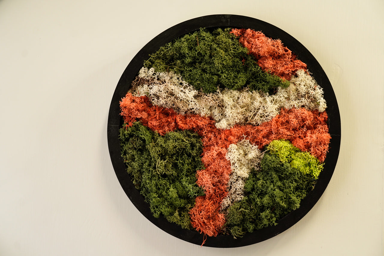 Quadro Moss Orange Tondo