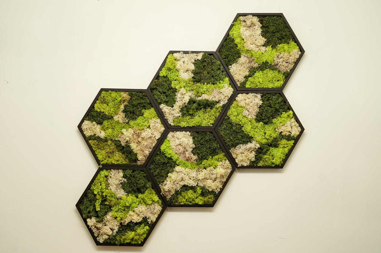 Quadro Moss Red Esagonale