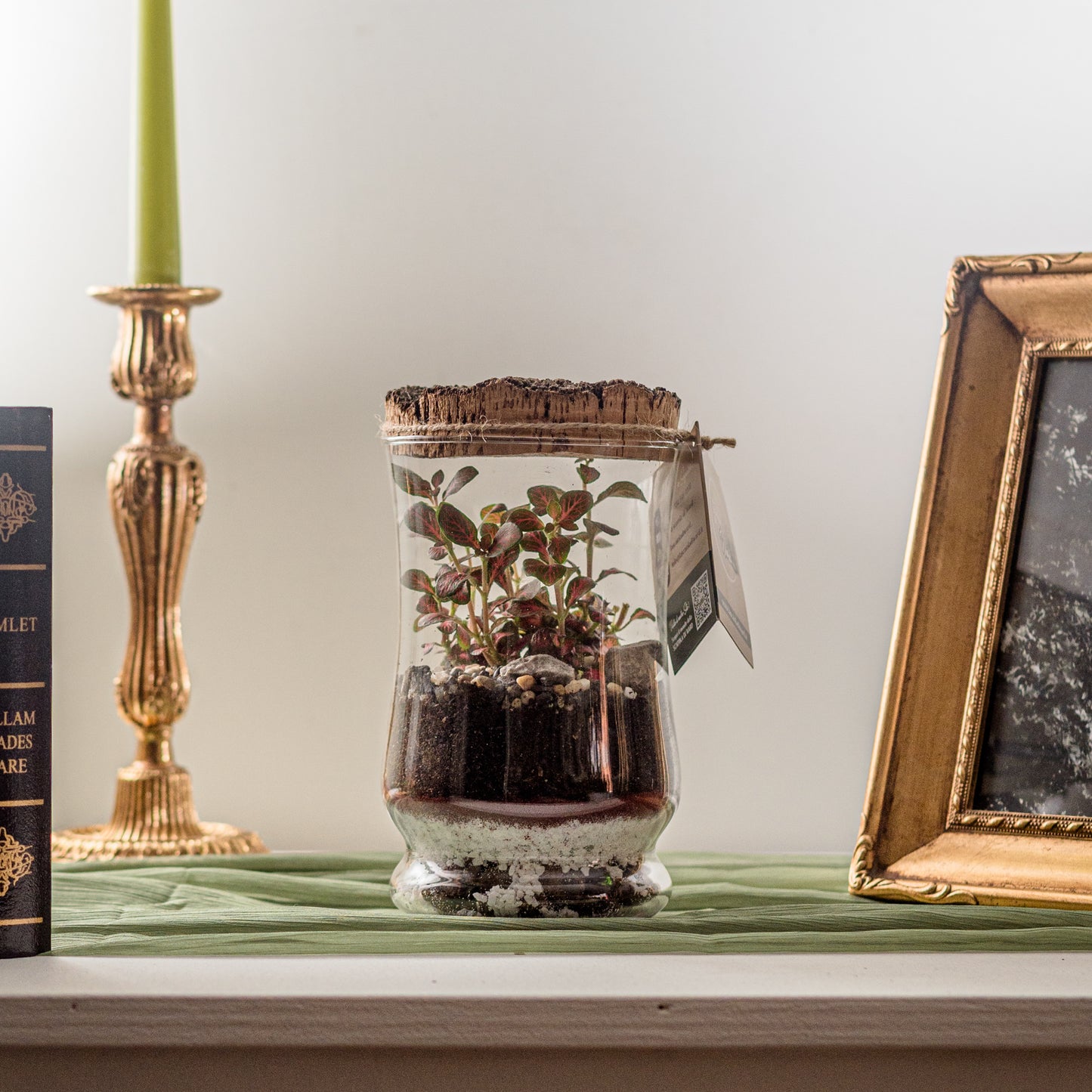 Terrarium Fiducia
