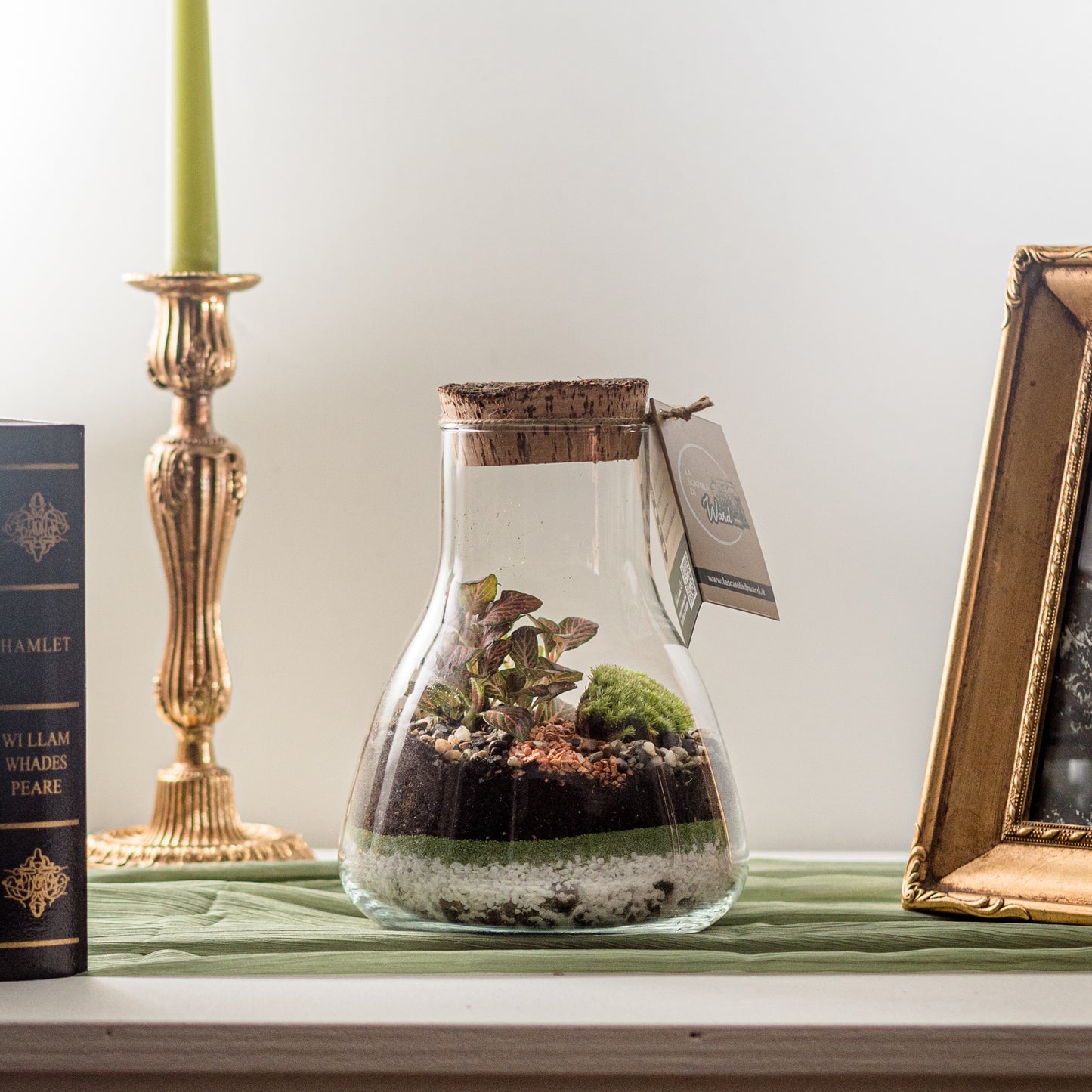 Terrarium Forza
