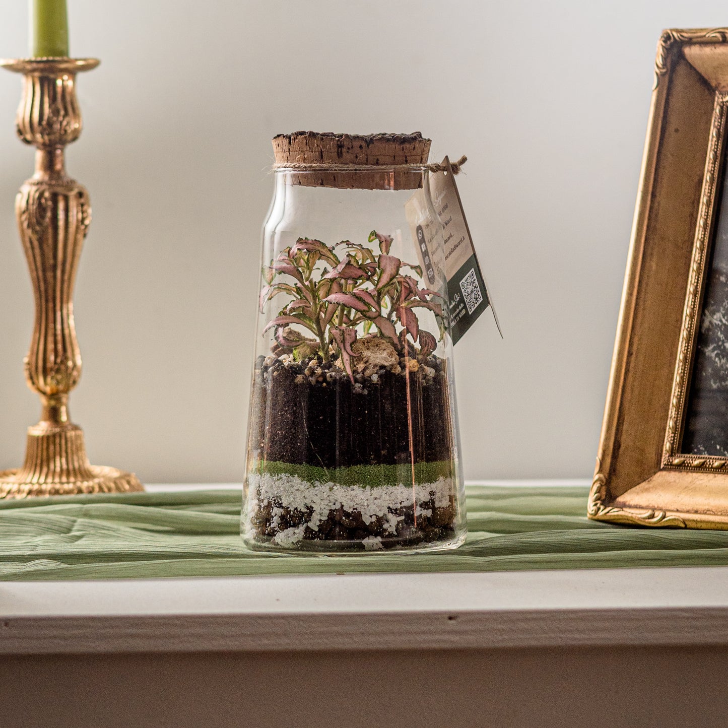 Terrarium Futuro