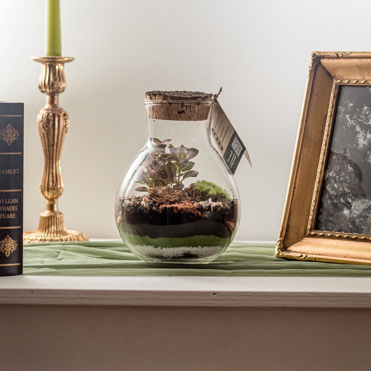 Terrarium Passione