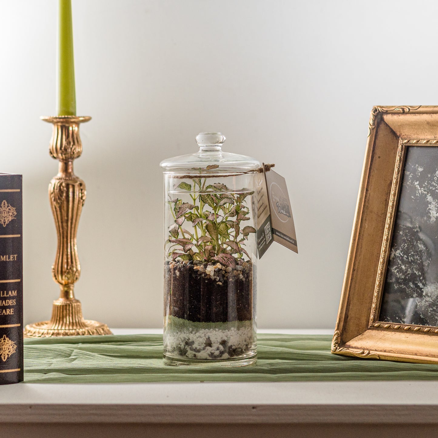 Terrarium Rispetto