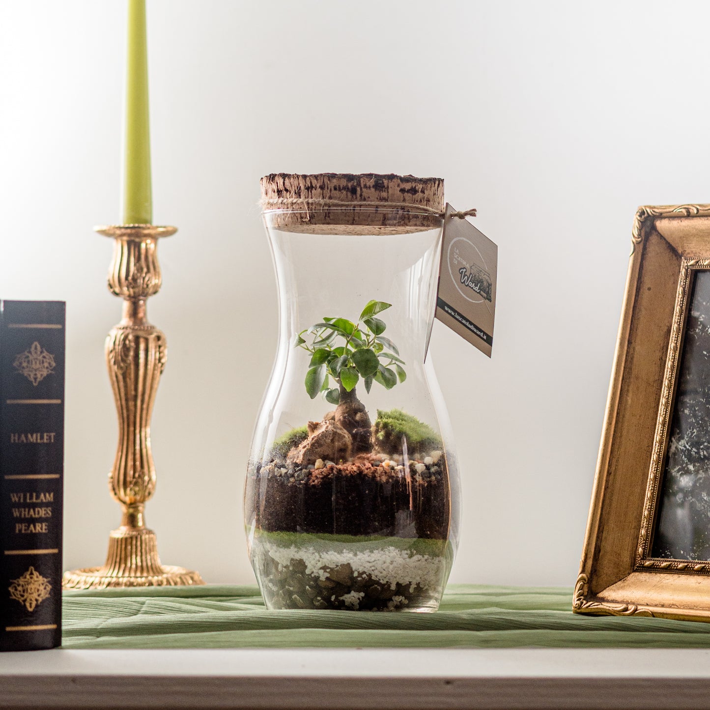 Terrarium Unione