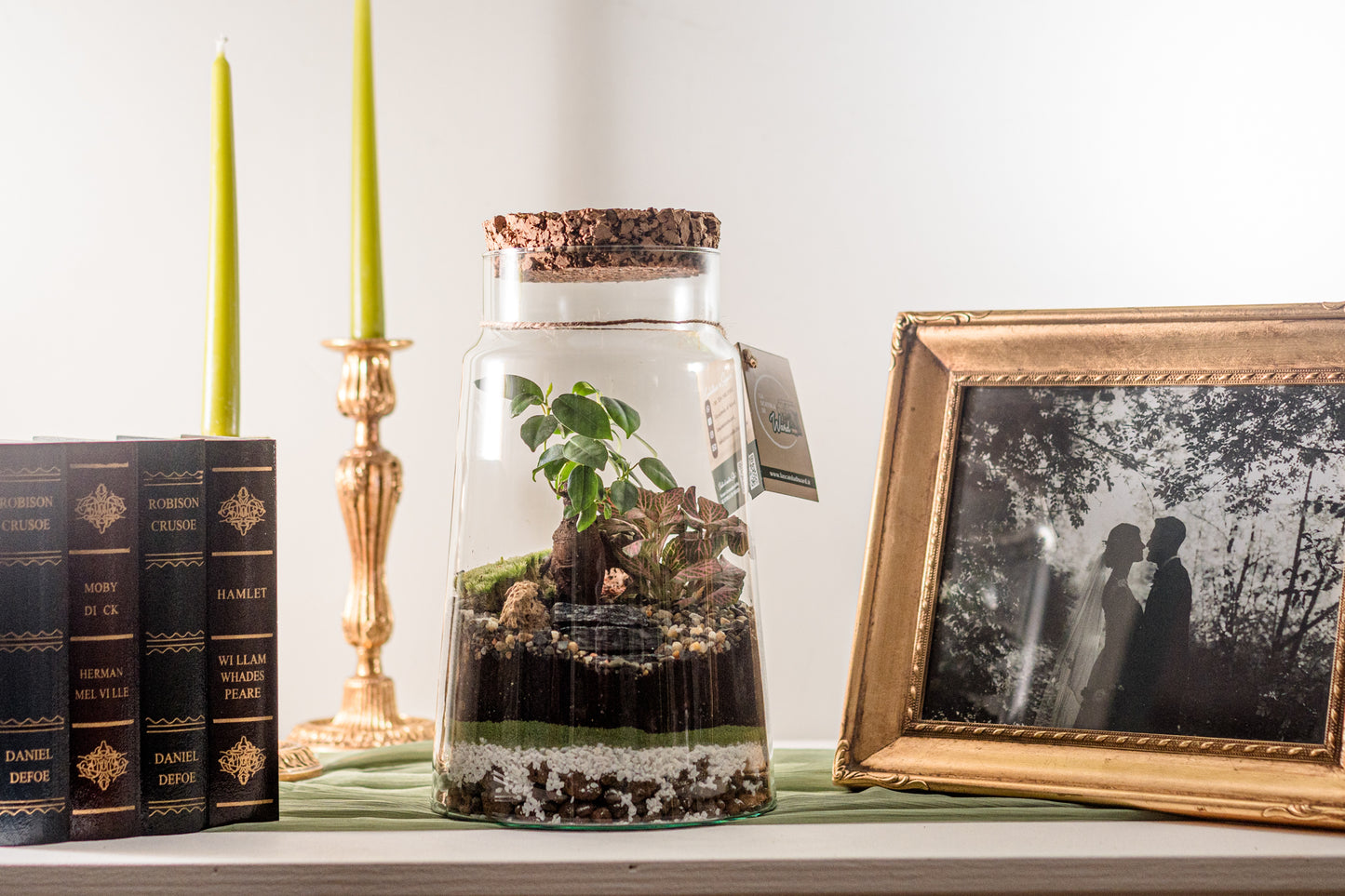 Terrarium Maldive