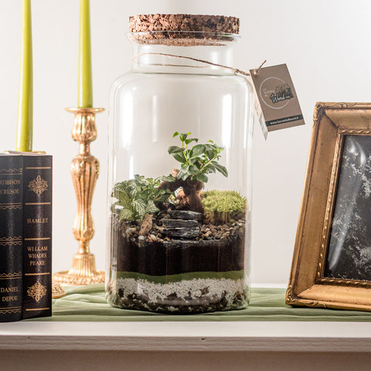 Terrarium Tokyo H40cm