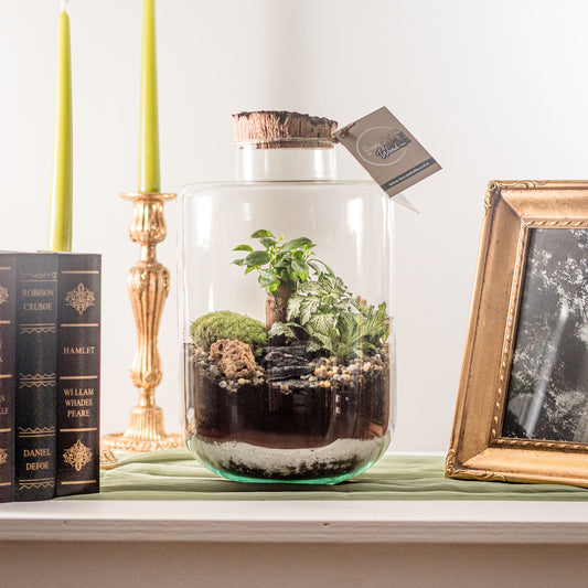 Terrarium Parigi