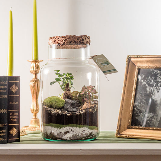 Terrarium Francoforte