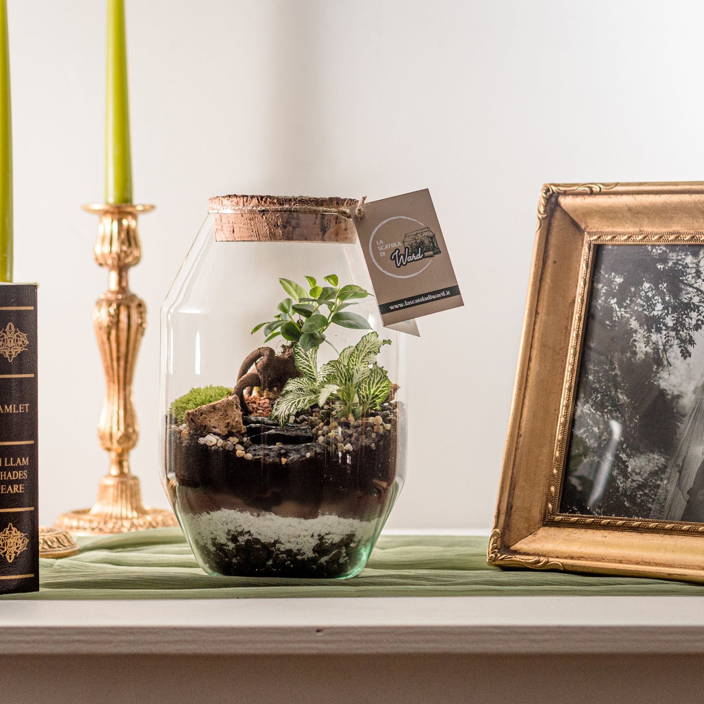 Terrarium Singapore