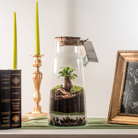 Terrarium Barcellona