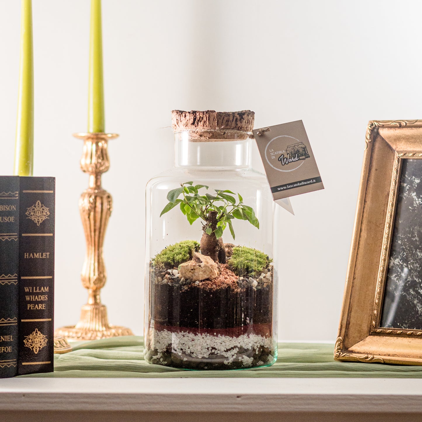 Terrarium Madrid