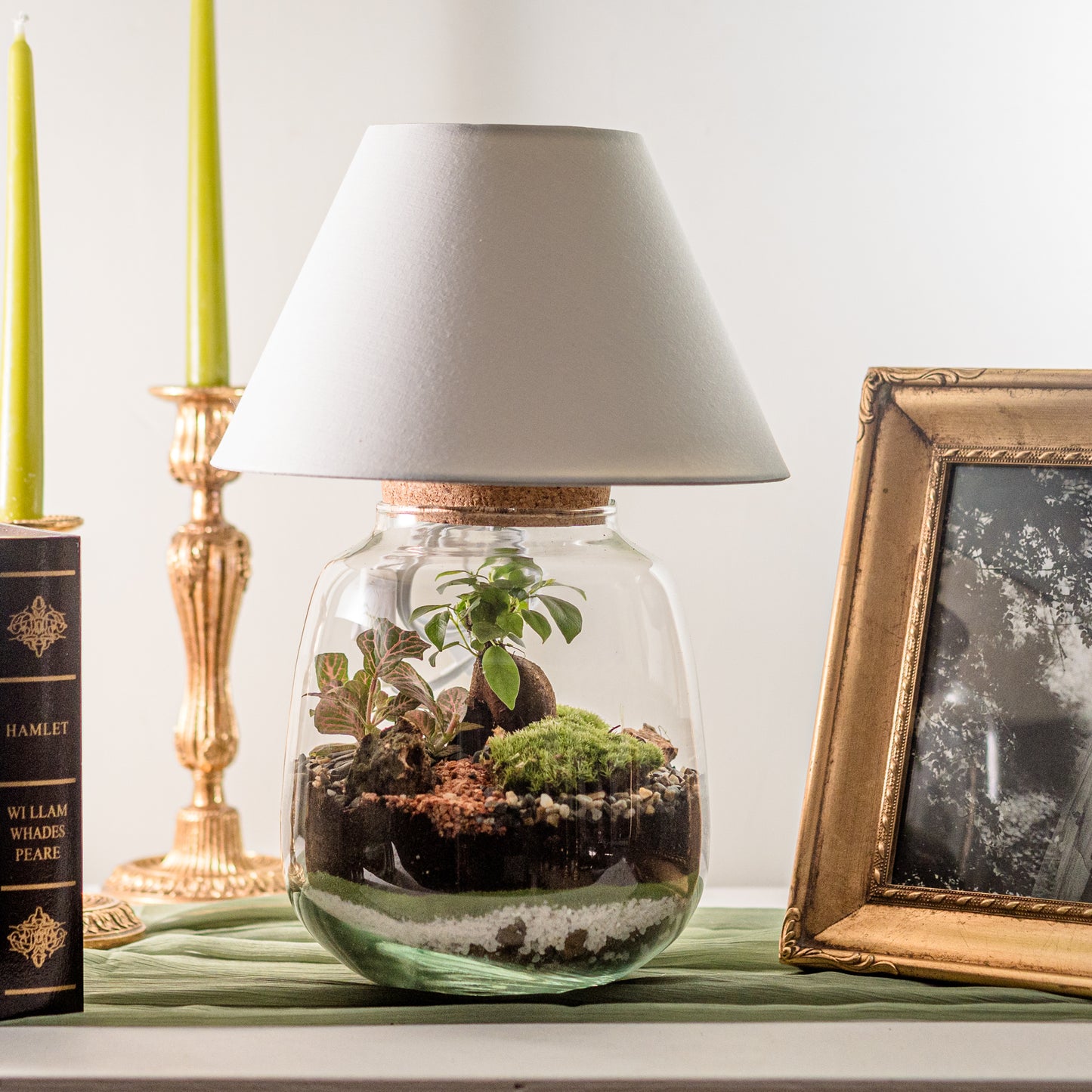 Light Terrarium Osaka