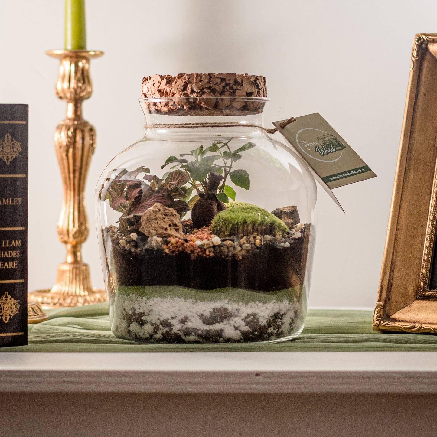 Terrarium Red Street