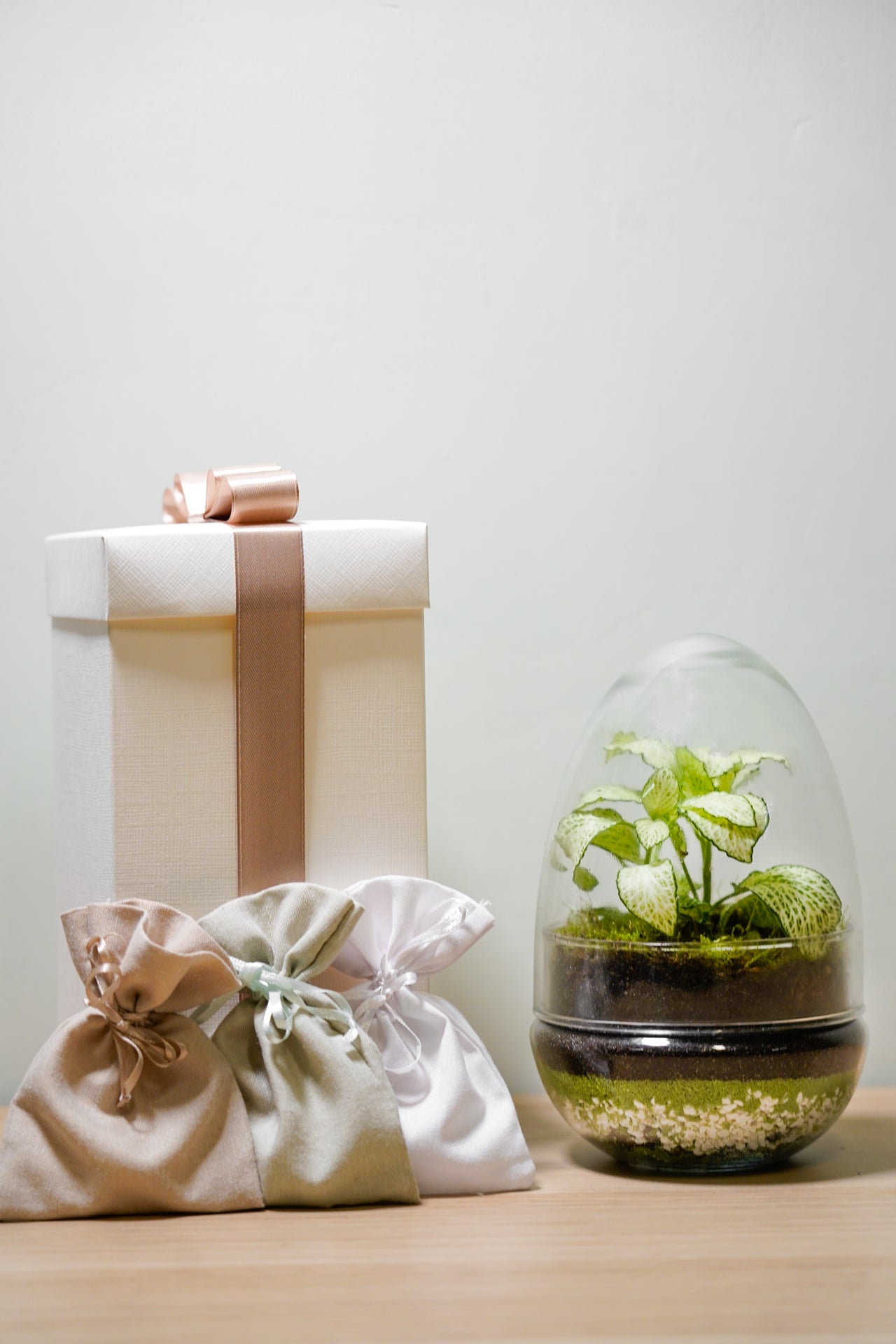 Terrarium Amore