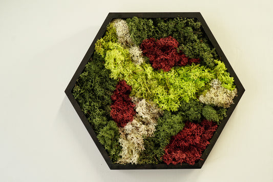 Quadro Moss Red Esagonale