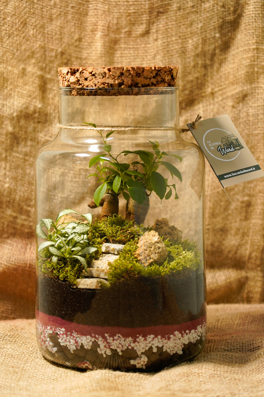 Terrarium Maldive H35