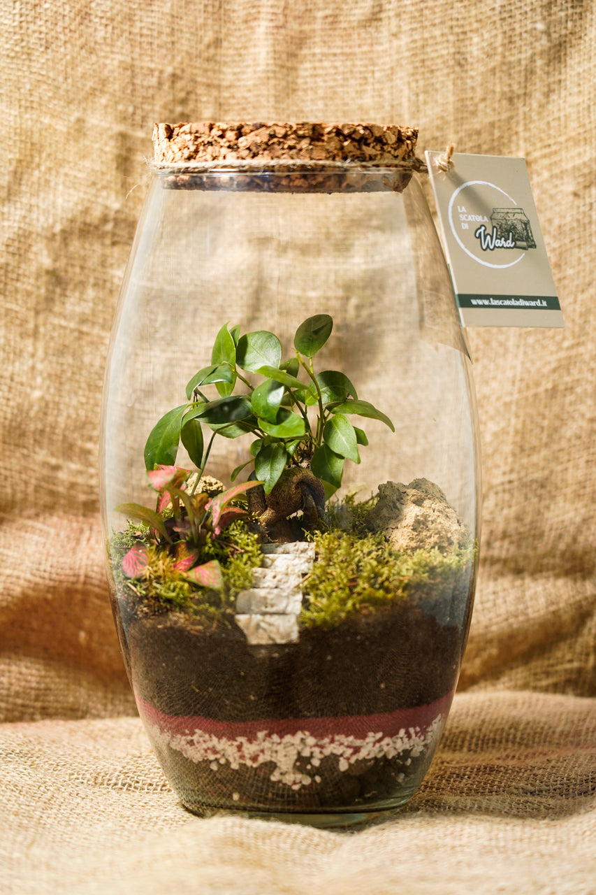 TERRARIUM MALESIA