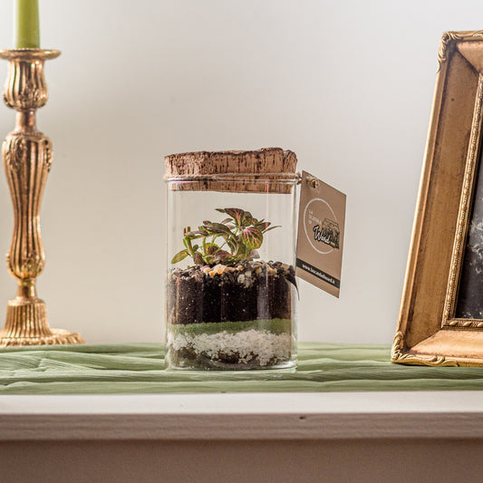 Terrarium Armonia