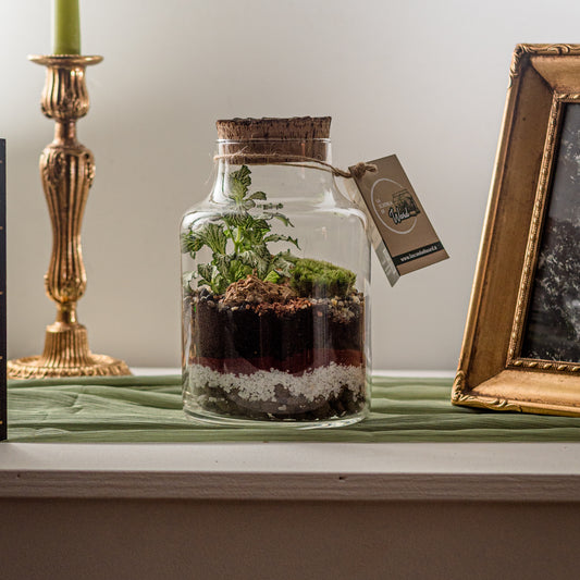 Terrarium Fantasia